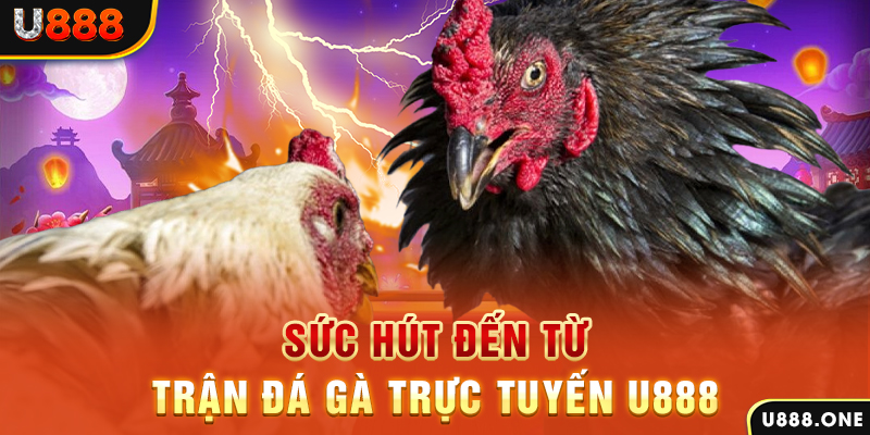 66ff đá gà trực tiếp c1