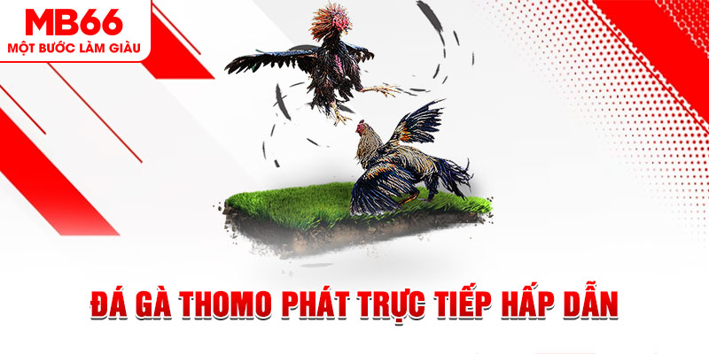 66ff dự đoán xổ số miền trung