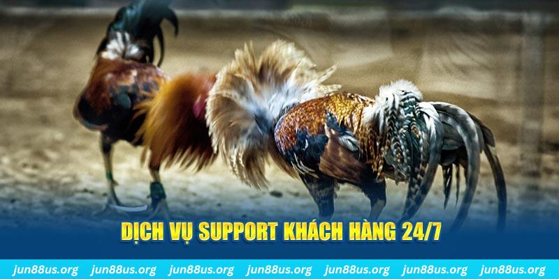 66ff ÁT CHỦ BÀI GIÀNH LẤY ZHUANG NIUNIU ( XEM 4 LÁ )