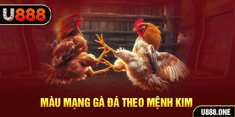 66ff Cỡ bảy