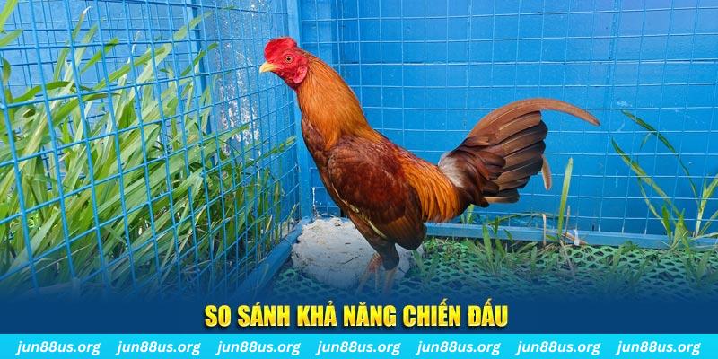 66ff CQ9 Điện Tử
