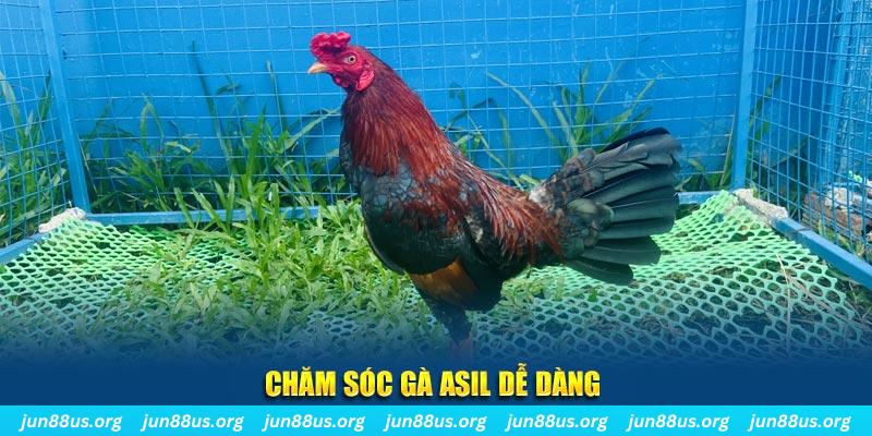 66ff game bài là gì