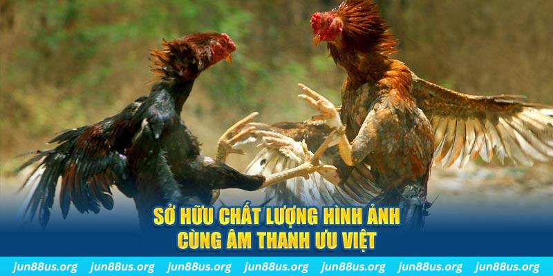 66ff PP Điện Tử