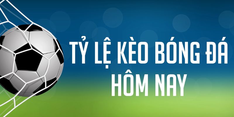 66ff gà chọi c1 mới nhất