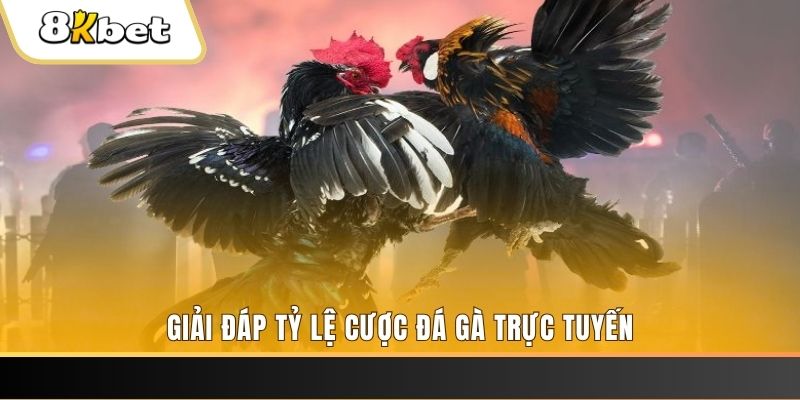 66ff xổ số đài miền trung