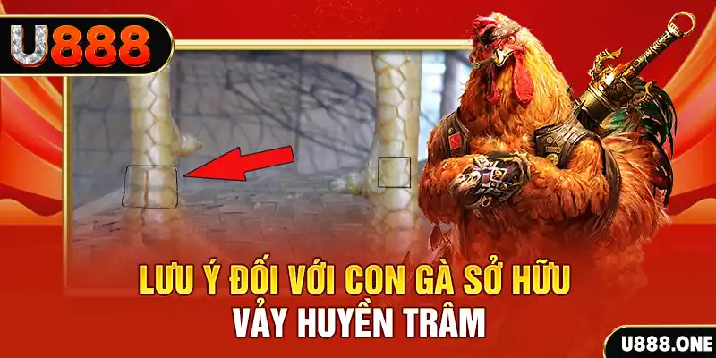 66ff kết quả xổ số miền nam hôm nay