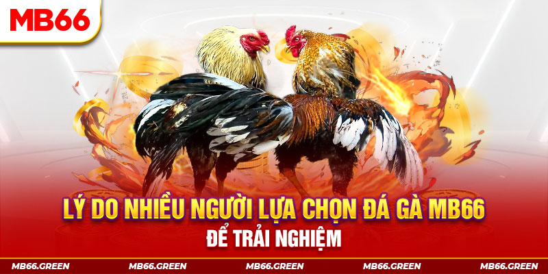 66ff xổ số miền bắc thứ bảy hàng tuần