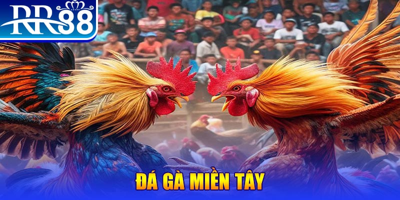 66ff no hu doi thuong ai