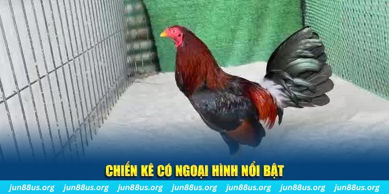 66ff game nổ hũ là gì