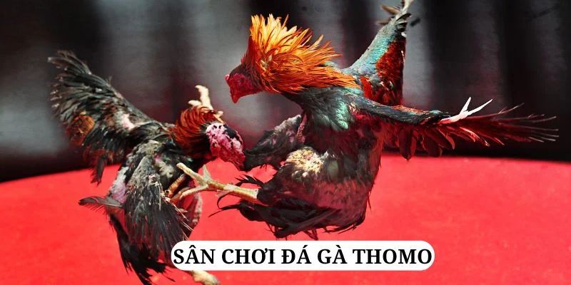 66ff trực tiếp xổ số miền bắc